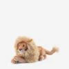 Steiff Leo Lion Soft Toy 45cm