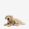 Steiff Andor Golden Retriever Soft Toy 45cm