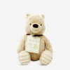 Hundred Acre Wood Disney Winnie The Pooh Plush Toy 19cm