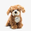Steiff Curlie Cockapoo Soft Toy 24cm