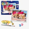 Cats Paint By Numbers Activity Kit