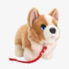 Corgi On A Lead Soft Toy 30cm